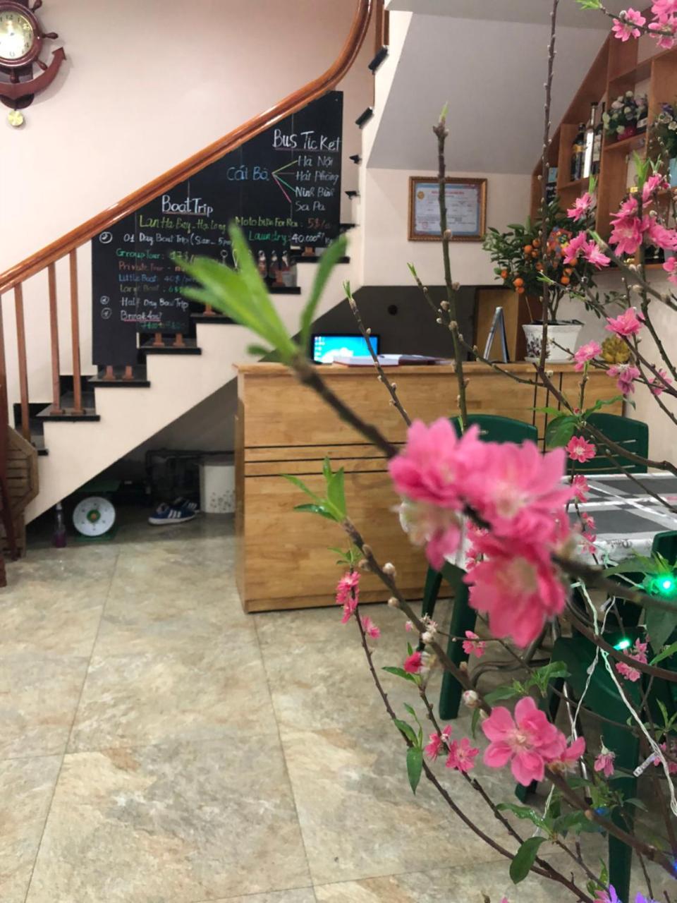 Nhatmaihostel Dong Khe Sau ภายนอก รูปภาพ
